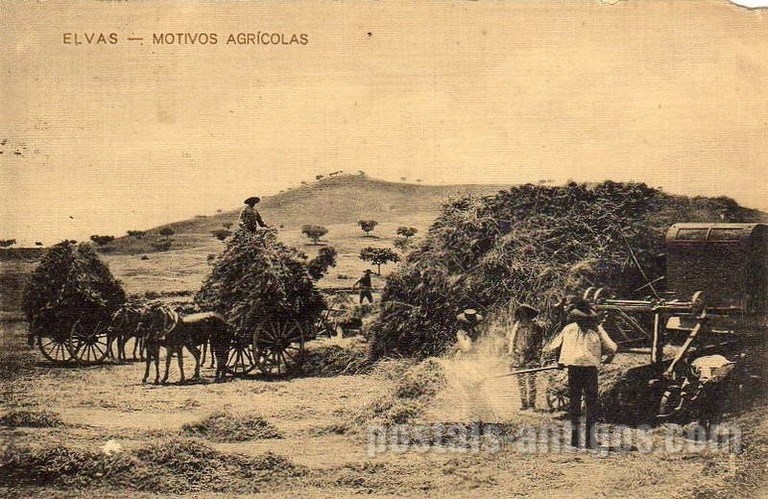 Bilhete postal ilustrado de Elvas: maquina agrícola | Portugal em postais antigos 