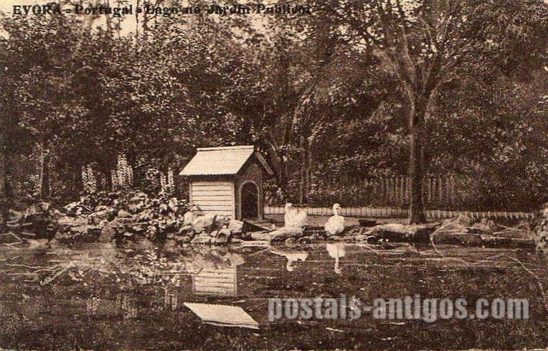 Bilhete postal do Lago no Jardim Público​ de Évora | Portugal em postais antigos