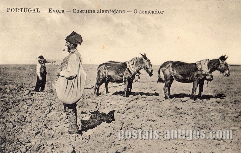 Bilhete postal de Costume Alentejano - O semeador​ - Évora | Portugal em postais antigos