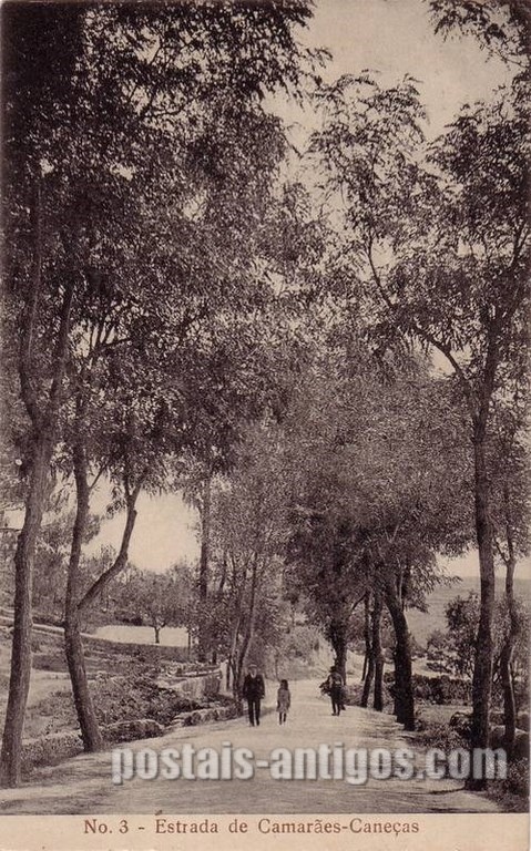 bilhete postal ilustrado antigo da Estrada de Camarões, Caneças  | Portugal em postais antigos