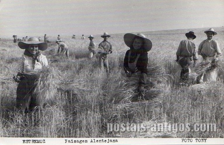 Bilhete postal ilustrado antigo de Estremoz, Ceifeiras Alentejanas | Portugal em postais antigos