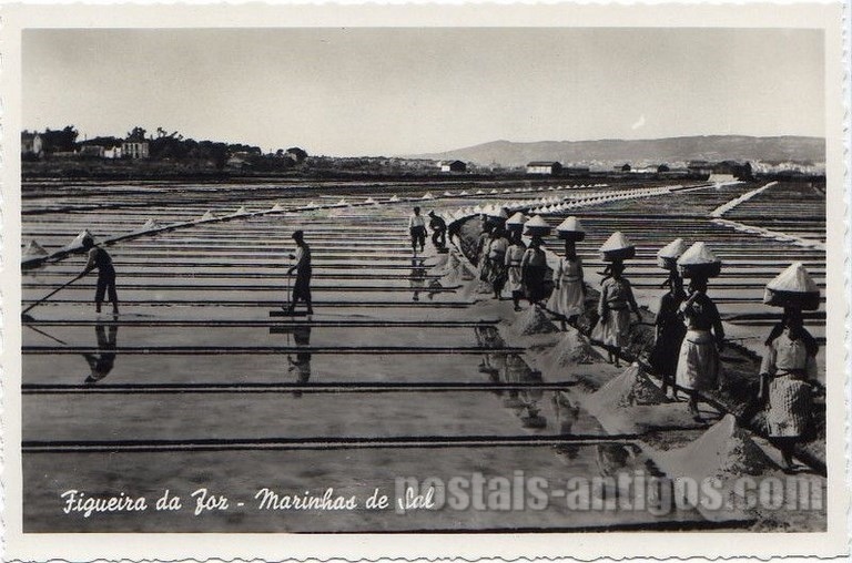 Postal antigo de Figueira da Foz, Portugal: Marinhas de sal.