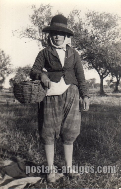 Bilhete postal de Apanhadeira de azeitona​, Évora | Portugal em postais antigos