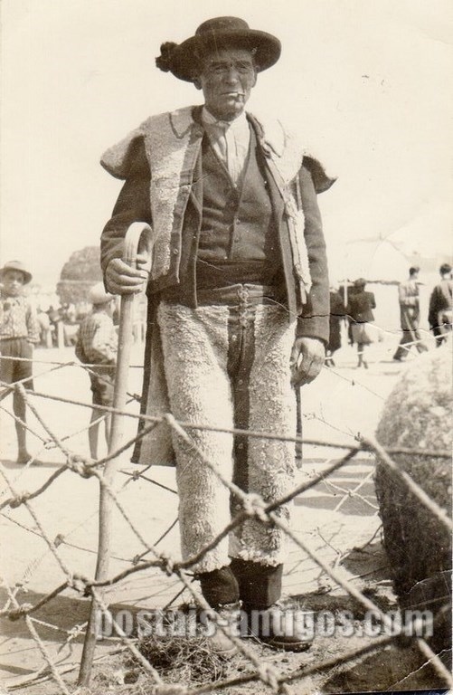 Bilhete postal de Velho pastor do Alentejo​, Évora | Portugal em postais antigos