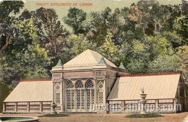 2- bilhete postal ilustrado do ​Jardim Zoológico de Lisboa | Portugal em postais antigos