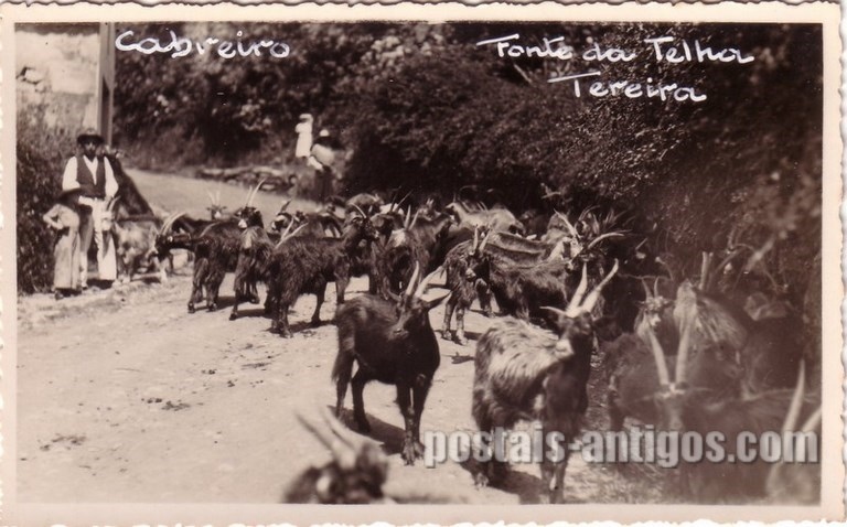 Bilhete postal do Cabreiro, Fonte da Telha, Ilha Terceira, Açores | Portugal em postais antigos
