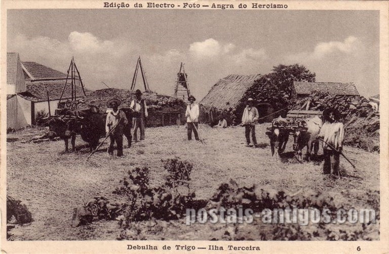 Bilhete postal da Debulha de Trigo, Ilha Terceira ,Açores | Portugal em postais antigos