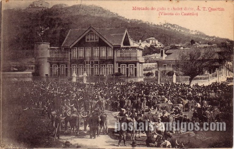 Bilhete postal de Viana do Castelo, mercado do gado | Portugal em postais antigos