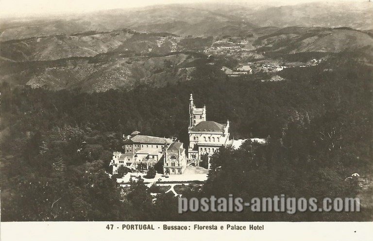 Bilhete postal da Floresta e Palace Hotel do Buçaco, Luso | Portugal em postais antigos