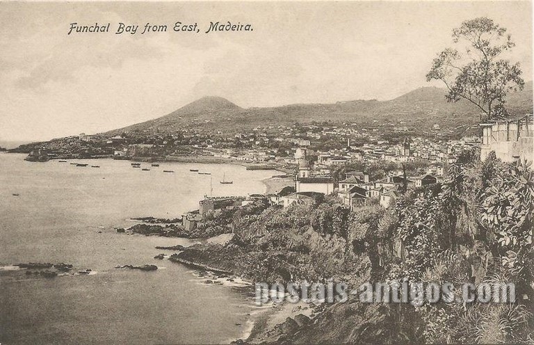 bilhete postal ilustrado de Funchal, baía vista do leste | Portugal em postais antigos