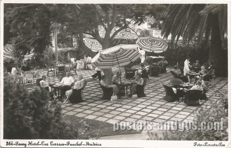 Bilhete postal ilustrado de Funchal, Madeira, Hotel Savoy, Tea Terrace | Portugal em postais antigos