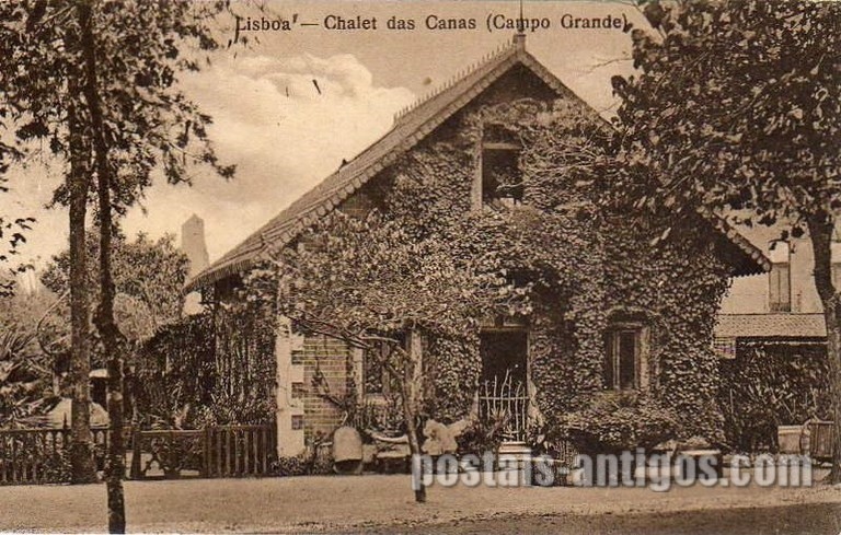 Bilhete postal ilustrado de Lisboa, Chalet das Canas (Campo Grande) | Portugal em postais antigos