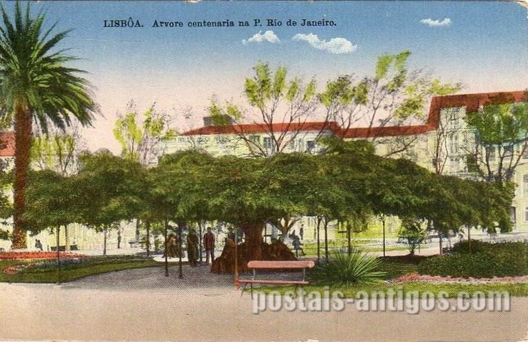 Bilhete postal de Lisboa : ​Praça Rio de Janeiro - 2 | Portugal em postais antigos