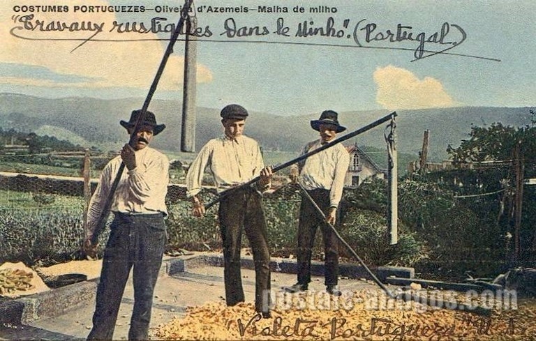 Bilhete postal antigo de Oliveira de Azeméis, Costume da Malha de milho | Portugal em postais antigos