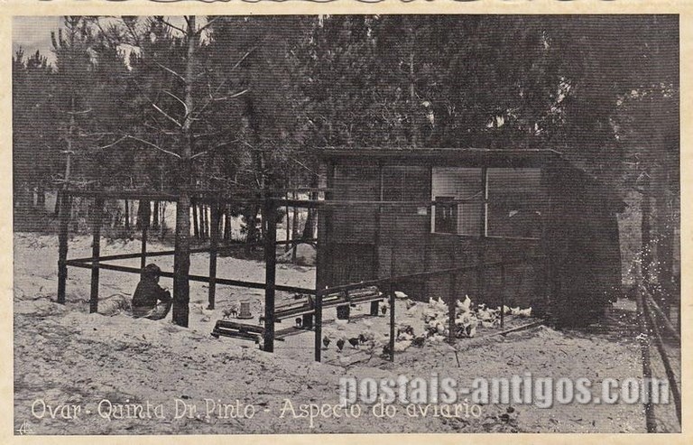 Bilhete postal ilustrado de specto do aviário, Quinta Pinto, Ovar | Portugal em postais-antigos.com