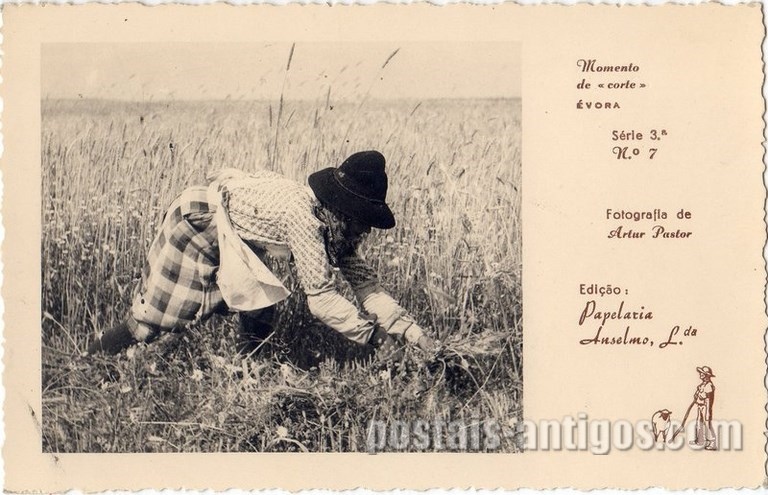 Bilhete postal de Costume de ceifeira Alentejana - Évora | Portugal em postais antigos