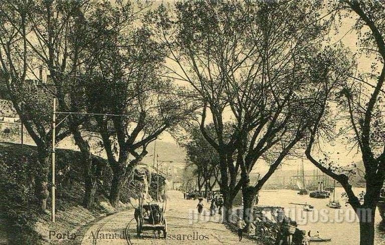 Postal antigo de Porto, Portugal: Alameda de Masserelos | Portugal em postais antigos