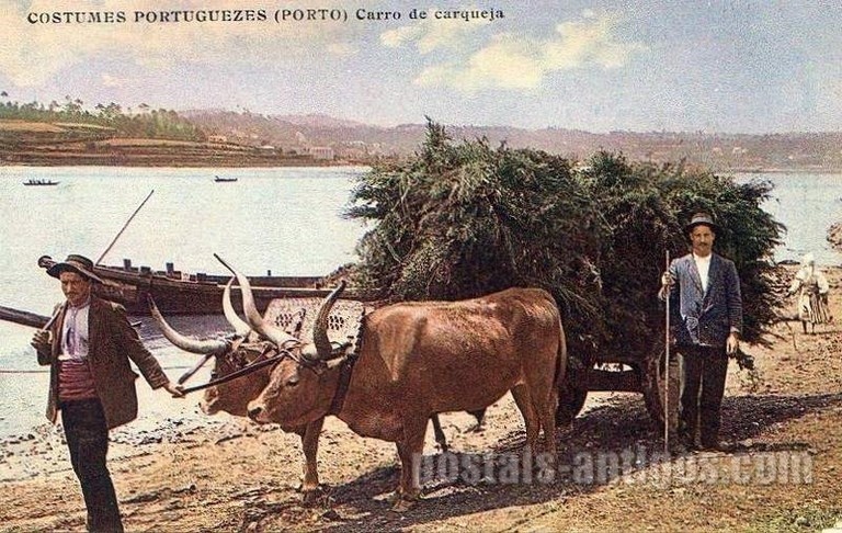 Postal antigo de Porto, Portugal: Carro de Carqueja​ | Portugal em postais antigos