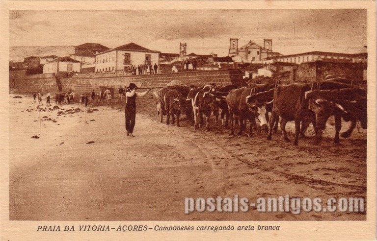 Bilhete postal dos Camponeses carregando areia branca, Praia da Vitória, Açores | Portugal em postais antigos