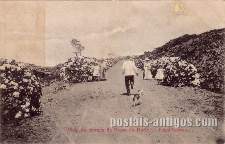 Bilhete postal da Vista da estrada da Praia do Norte, Faial, Açores | Portugal em postais antigos 