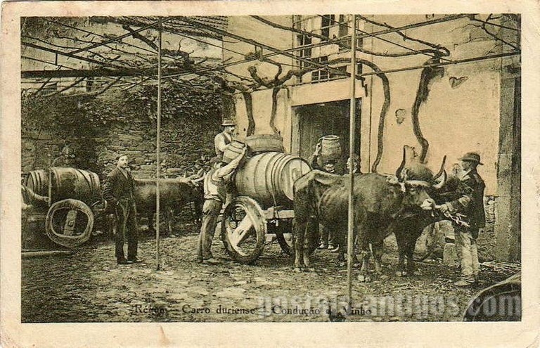 Bilhete postal antigo de Peso da Régua, Carro duriense | Portugal em postais antigos