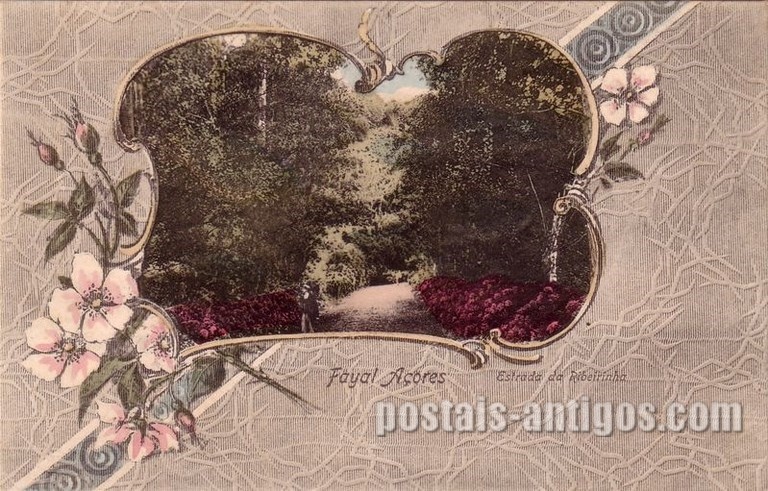 Bilhete postal da Estrada da Ribeirinha, Faial, Açores | Portugal em postais antigos 