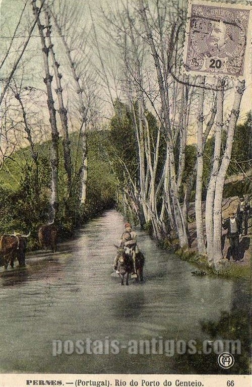 Bilhete postal ilustrado de Santarém, Pernes, Rio do Porto do Centeio | Portugal em postais antigos