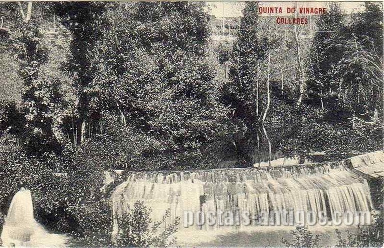 Bilhete postal ilustrado de Colares (Sintra), Quinta do Vinagre | Portugal em postais antigos 