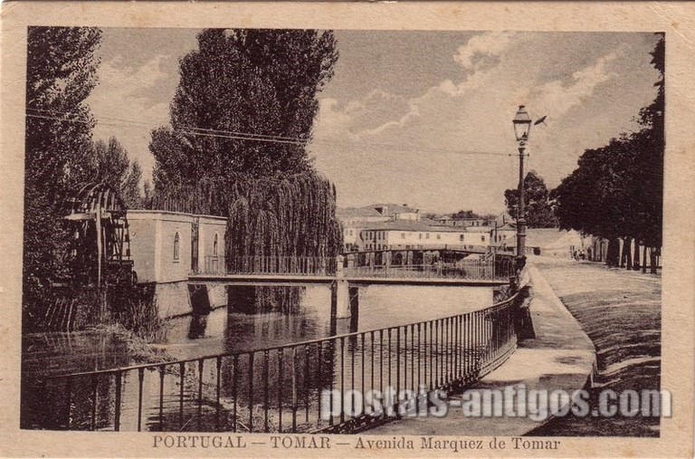Bilhete postal ilustrado da Avenida Marquês de Tomar | Portugal em postais antigos