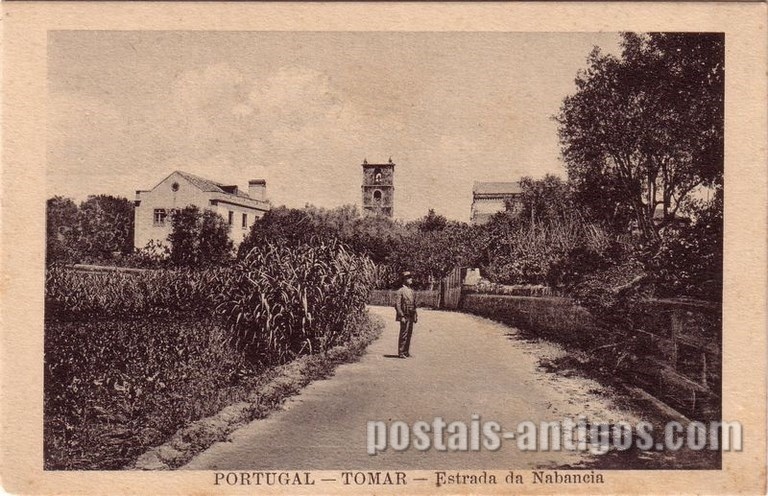 Bilhete postal ilustrado da Estrada da Nabância, Tomar | Portugal em postais antigos