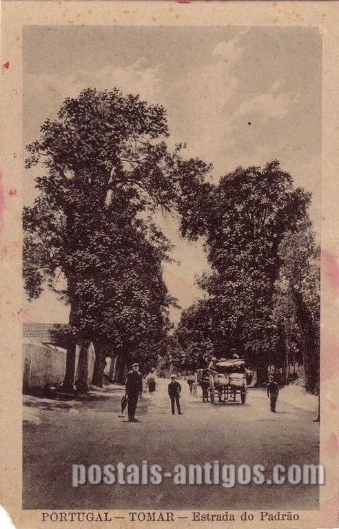 Bilhete postal ilustrado da Estrada do Padrão, Tomar | Portugal em postais antigos