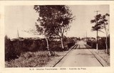 Bilhete postal ilustrado de Moçambique, Avenida da Praia, Beira | Portugal em postais antigos 