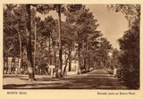 Bilhete postal da freguesia de Monte Real em Leiria | Portugal em postais antigos 