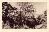 Bilhete postal ilustrado de Moçambique, Trecho da Floresta, Amatongas | Portugal em postais antigos 