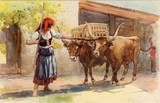 Bilhete postal por Alberto Souza: Mulher com junta de bois - Minho | Portugal em postais-antigos.com