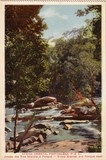 Bilhete postal ilustrado de Moçambique, Junção dos Rios Nhandar e Pompué | Portugal em postais antigos 