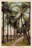 Bilhete postal ilustrado de Moçambique, Vista da Chupanga, Marromeu | Portugal em postais antigos 