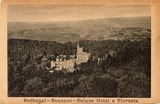 Postal antigo de Buçaco, Portugal: Palace Hotel e floresta.