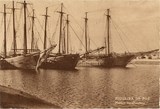 Bilhete postal ilustrado de Figueira da Foz, navios bacalhoeiros | Portugal em postais antigos