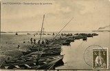 Bilhete postal ilustrado de Matosinhos, desembarque da sardinha | Portugal em postais antigos