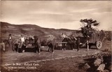 Bilhete postal do Carro de bois, Horta, Faial, Açores | Portugal em postais antigos 