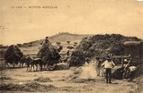 Bilhete postal ilustrado de Elvas: maquina agrícola | Portugal em postais antigos 