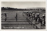 Postal antigo de Figueira da Foz, Portugal: Marinhas de sal.