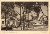 Bilhete postal ilustrado daF.N.A.T. - Um lugar ao sol - Vista parcial -  Costa da Caparica  | Portugal em postais antigos 
