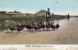 Bilhete postal de Lisboa, Vendedor de perus | Portugal em postais antigos