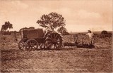 Bilhete postal ilustrado antigo de Tractora Fiat desbravando a terra sen Homoine, Inhambane,  Moçambique | Portugal em postais antigos