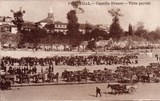 Bilhete postal de Castelo Branco, vista parcial da feira | Portugal em postais antigos
