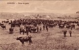 Bilhete postal de Chaves, Feira de gado | Portugal em postais antigos
