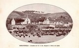 Bilhete postal de Mirandela, feira de gado | Portugal em postais antigos