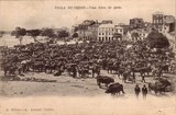 Bilhete postal de Vila do Conde, uma feira de gado | Portugal em postais antigos